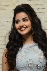 Anupama Parameswaran At Vunnadhi Okate Zindagi Movie Pre Release Function